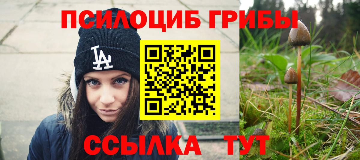 Галлюциногенные грибы GOLDEN TEACHER  Вход с VPN  купить наркотик  Губкинский 